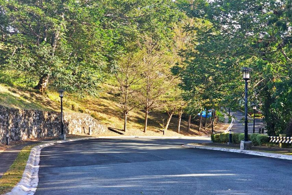Land for Sale in Calabuso, Tagaytay, Cavite – photo 6