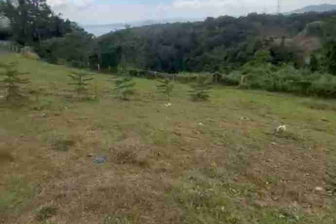 Land for Sale in Calabuso, Tagaytay, Cavite – photo 3
