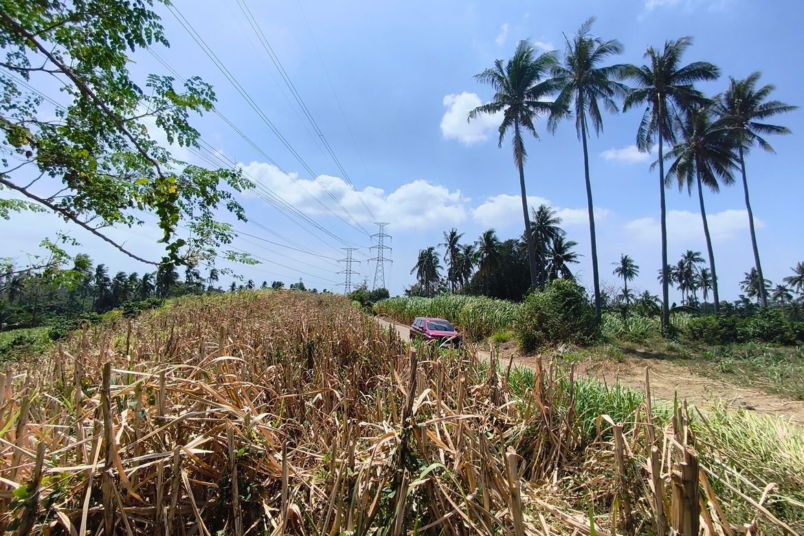 Land for Sale in Calaca, Batangas – photo 2