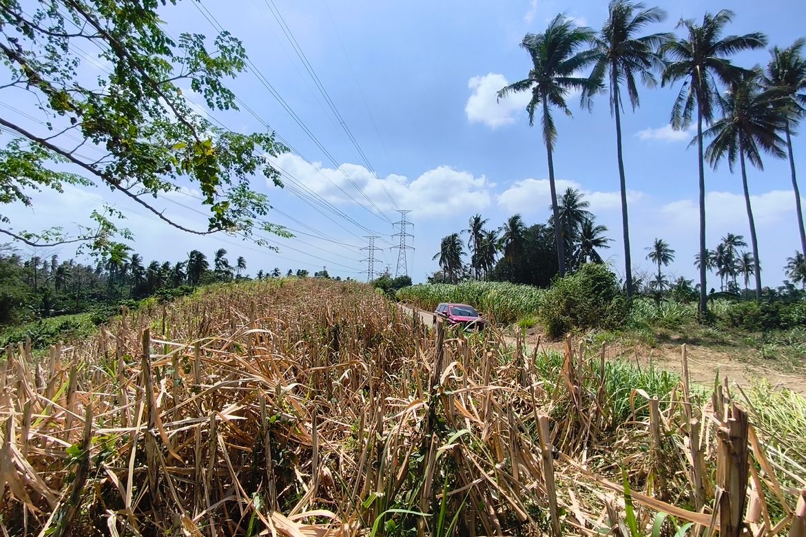 Land for Sale in Calaca, Batangas – photo 3