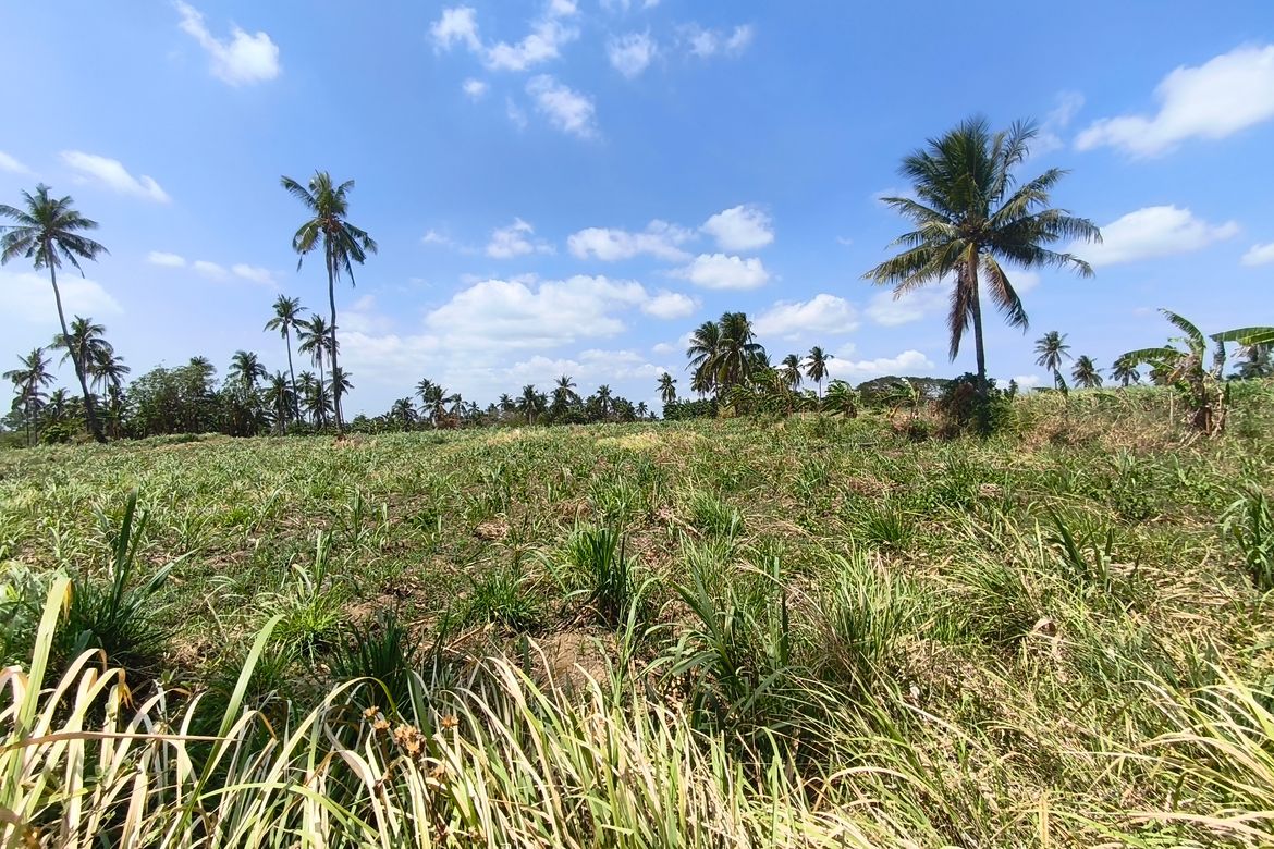 Land for Sale in Calaca, Batangas – photo 6