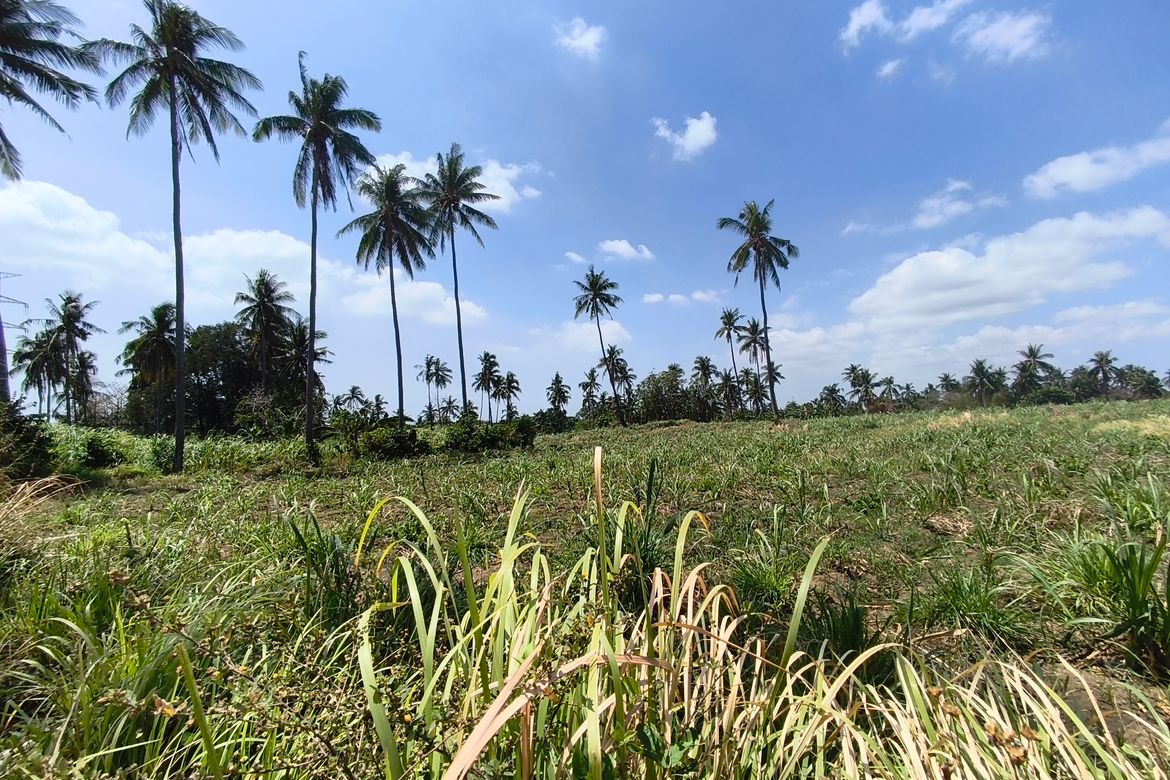 Land for Sale in Calaca, Batangas – photo 7