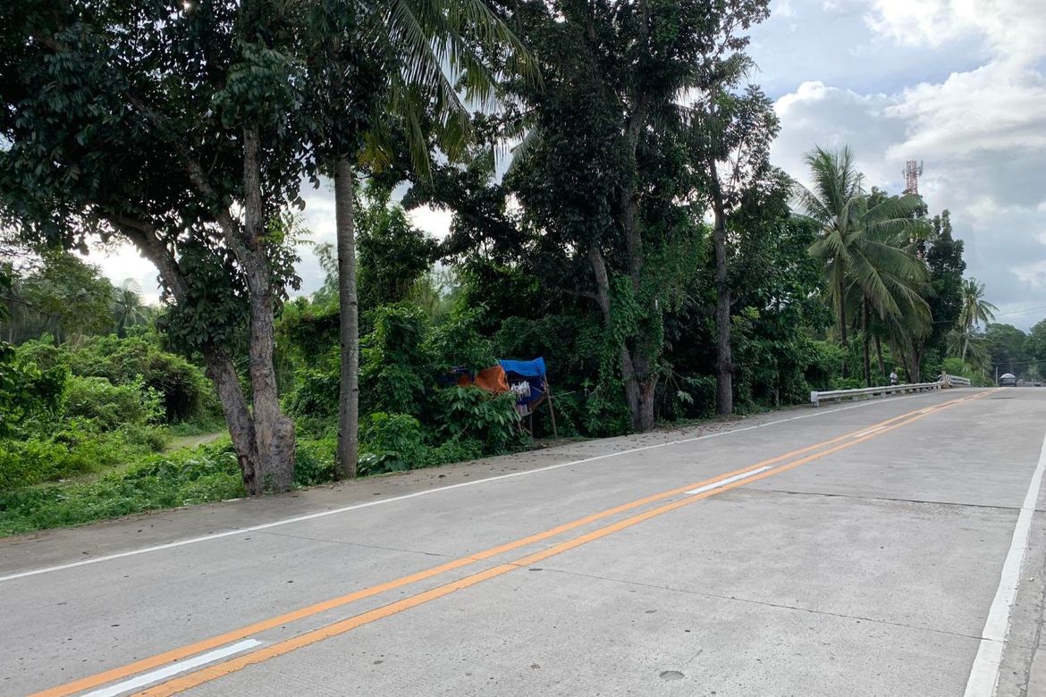Land for Sale in Calangag, Bacong, Negros Oriental