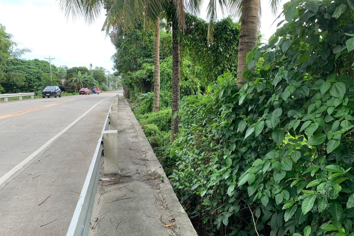 Land for Sale in Calangag, Bacong, Negros Oriental – photo 6