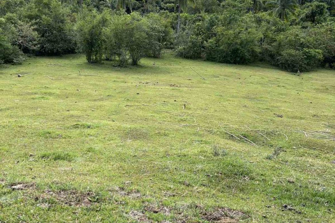 Land for Sale in Calantas, Rosario, Batangas – photo 2
