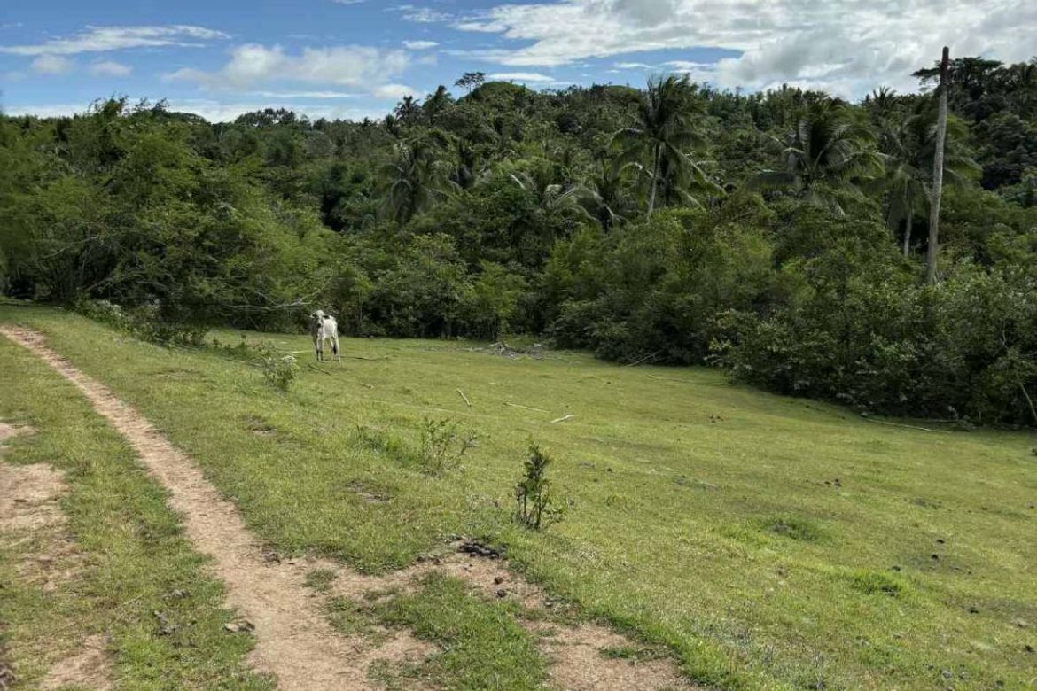 Land for Sale in Calantas, Rosario, Batangas – photo 3