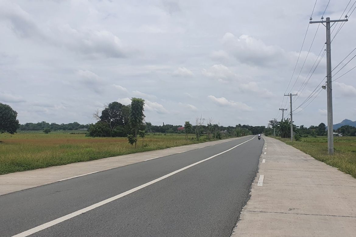 Land for Sale in Calanutan, Rosales, Pangasinan – photo 3