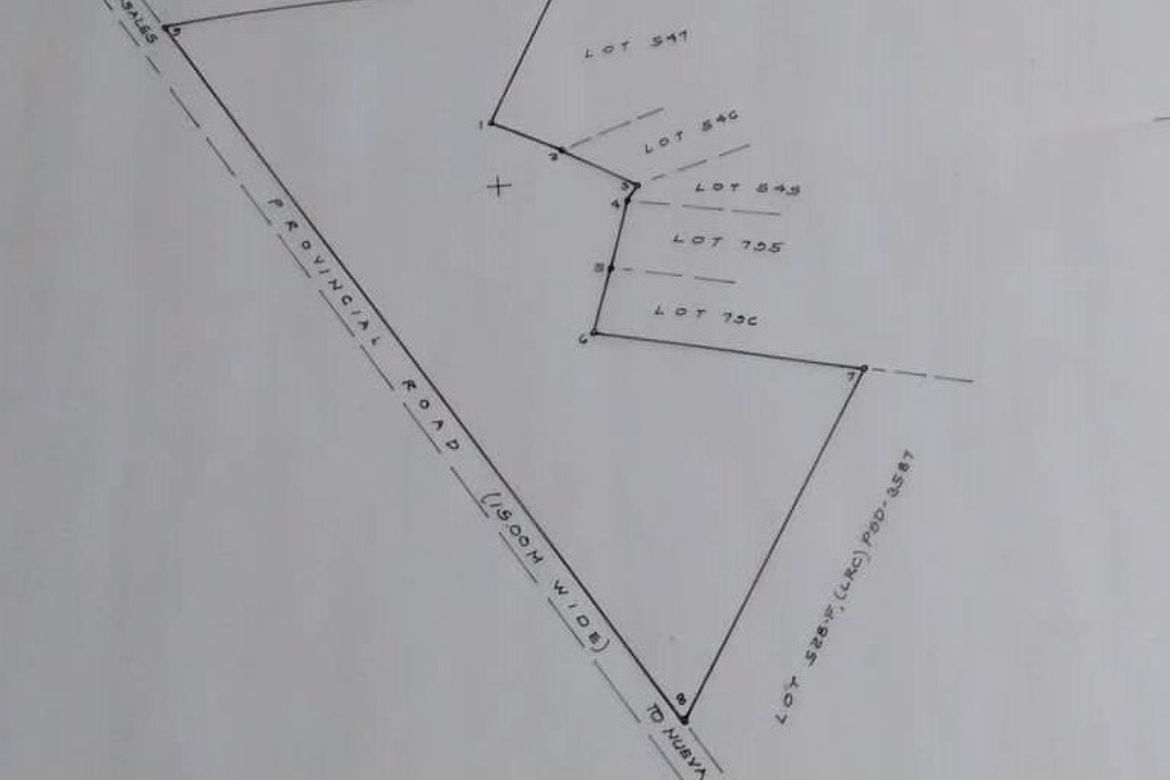 Land for Sale in Calanutan, Rosales, Pangasinan – photo 5