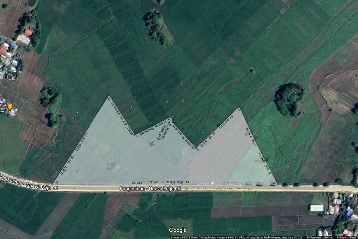 Land for Sale in Calanutan, Rosales, Pangasinan – photo 6