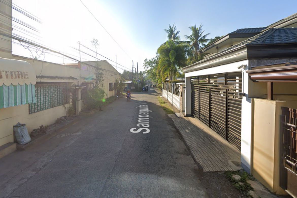 Land for Sale in Calao East, Santiago, Isabela – photo 2