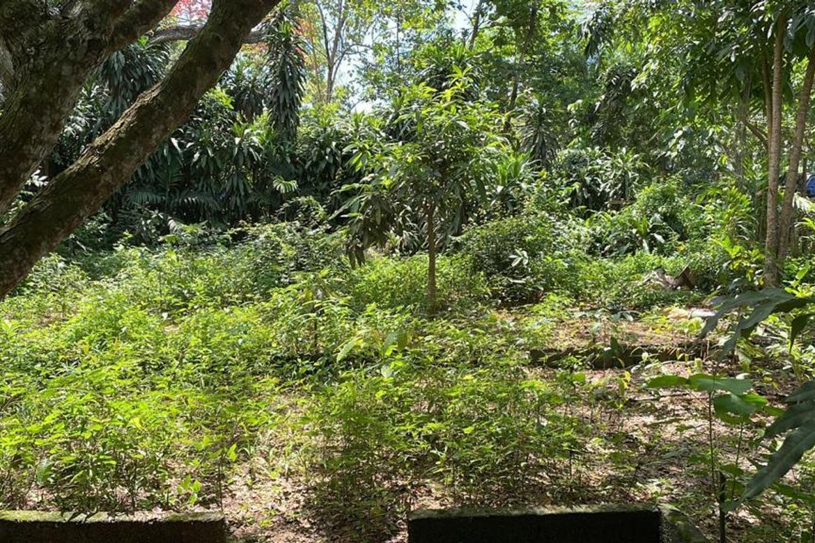 Land for Sale in Calarian, Zamboanga City, Zamboanga del Sur