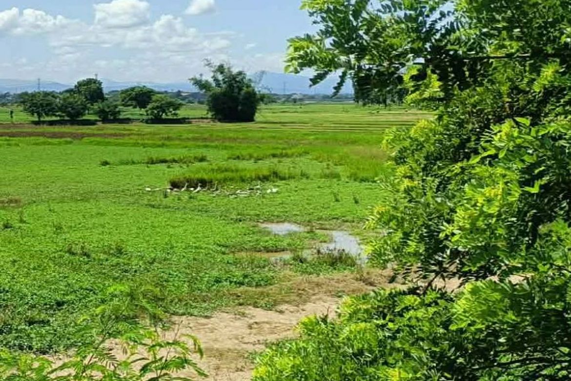 Land for Sale in Calasag, San Ildefonso, Bulacan – photo 2