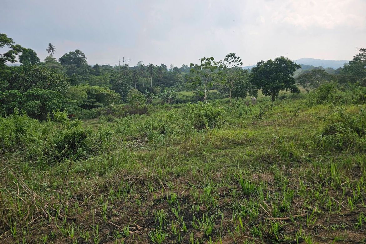 Land for Sale in Calatrava, Carmen, Bohol