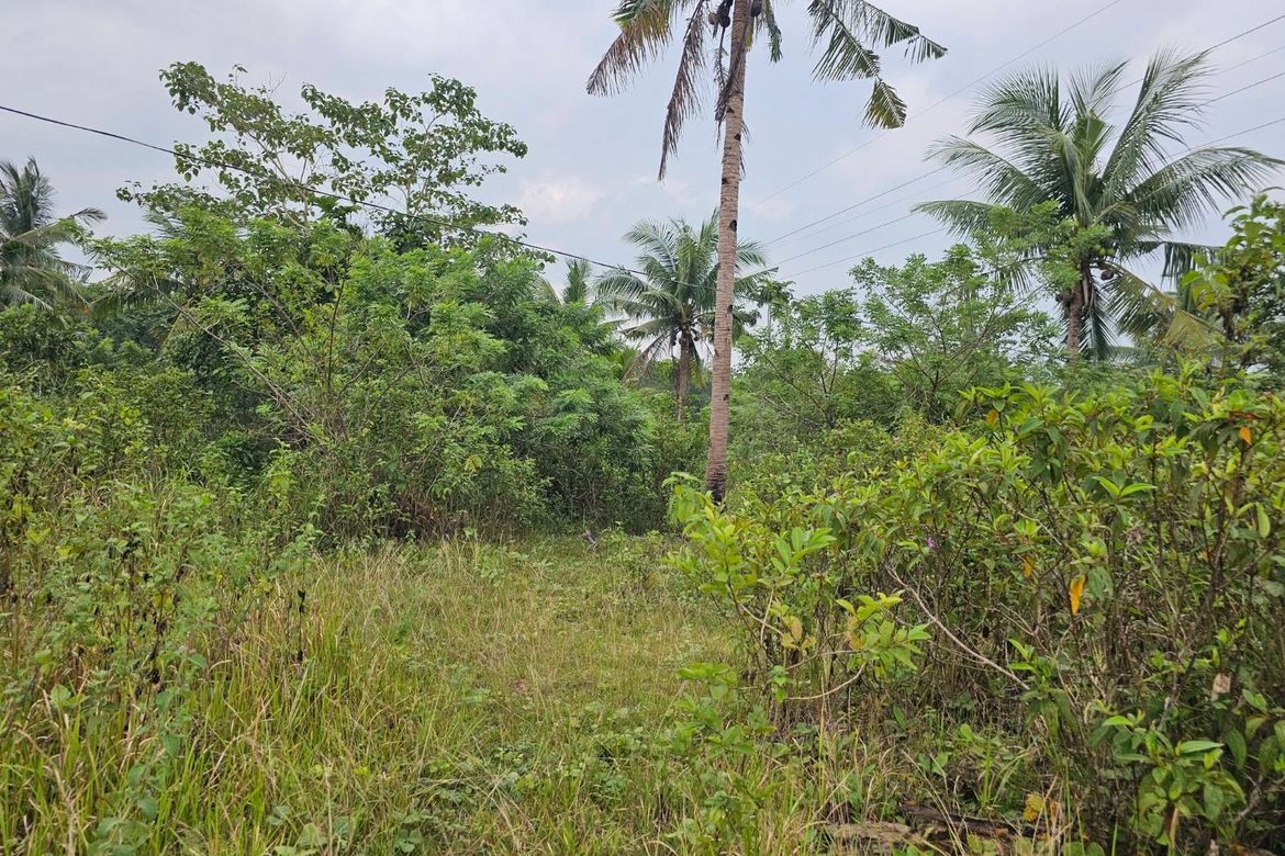 Land for Sale in Calatrava, Carmen, Bohol – photo 5