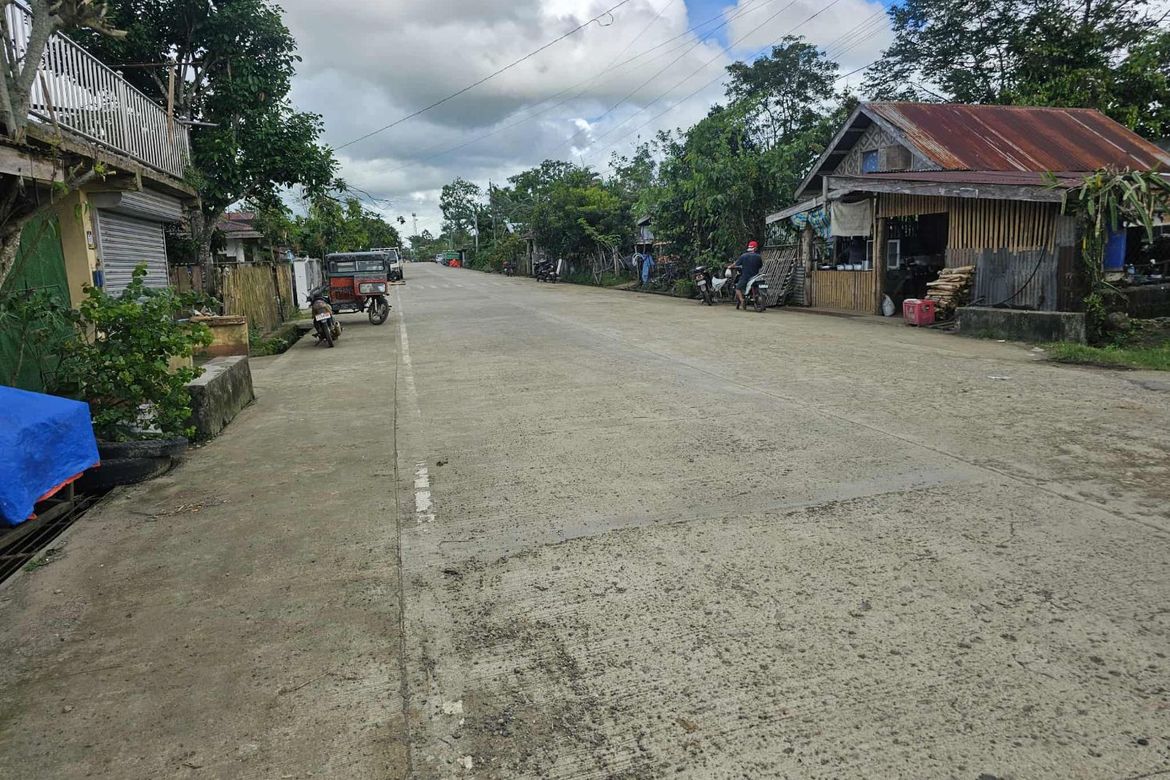 Land for Sale in Calatrava, Carmen, Bohol – photo 3