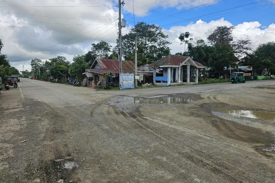 Land for Sale in Calatrava, Carmen, Bohol – photo 4