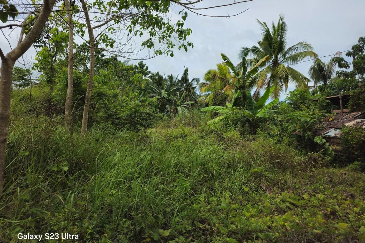 Land for Sale in Calatrava, Carmen, Bohol – photo 5