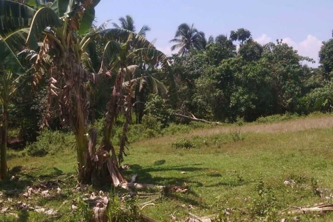 Land for Sale in Calatrava, Carmen, Bohol – photo 3