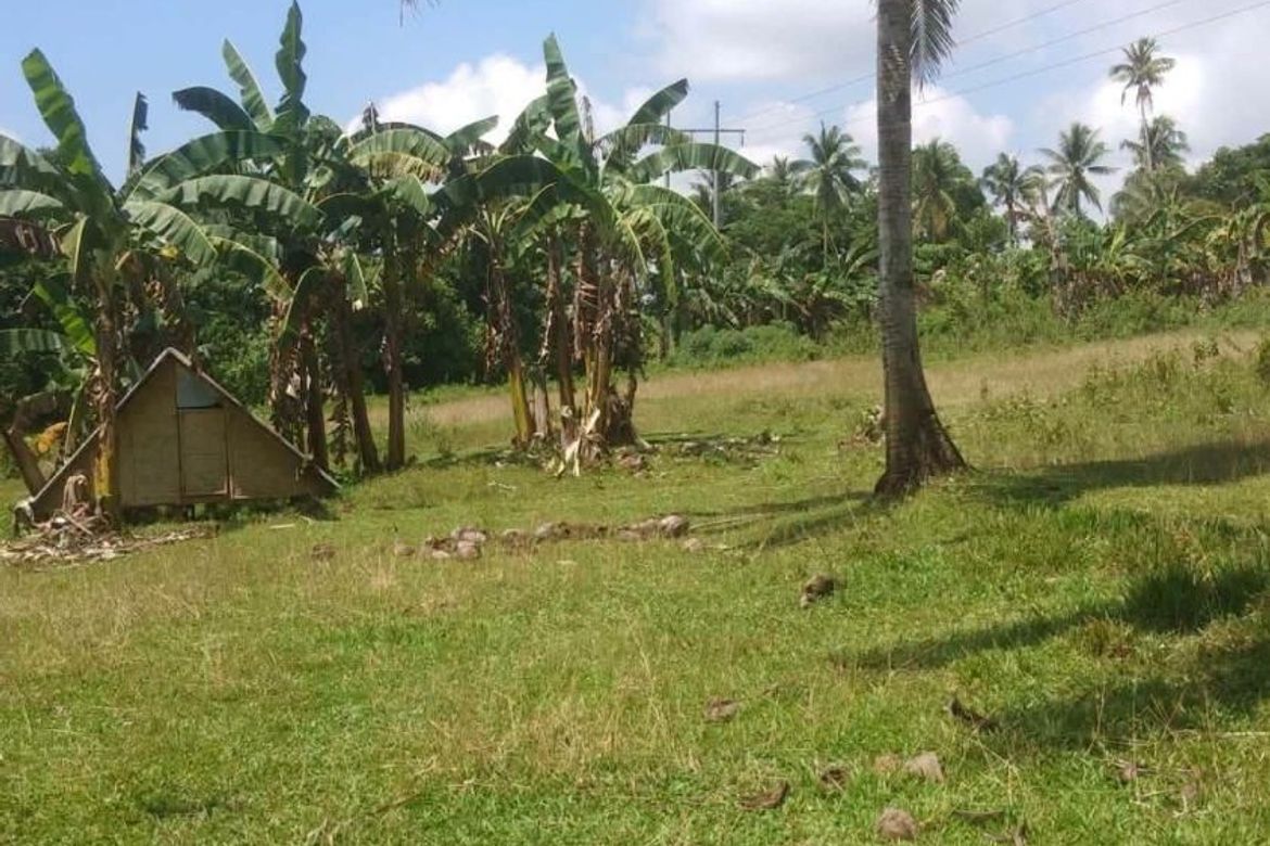 Land for Sale in Calatrava, Carmen, Bohol – photo 4