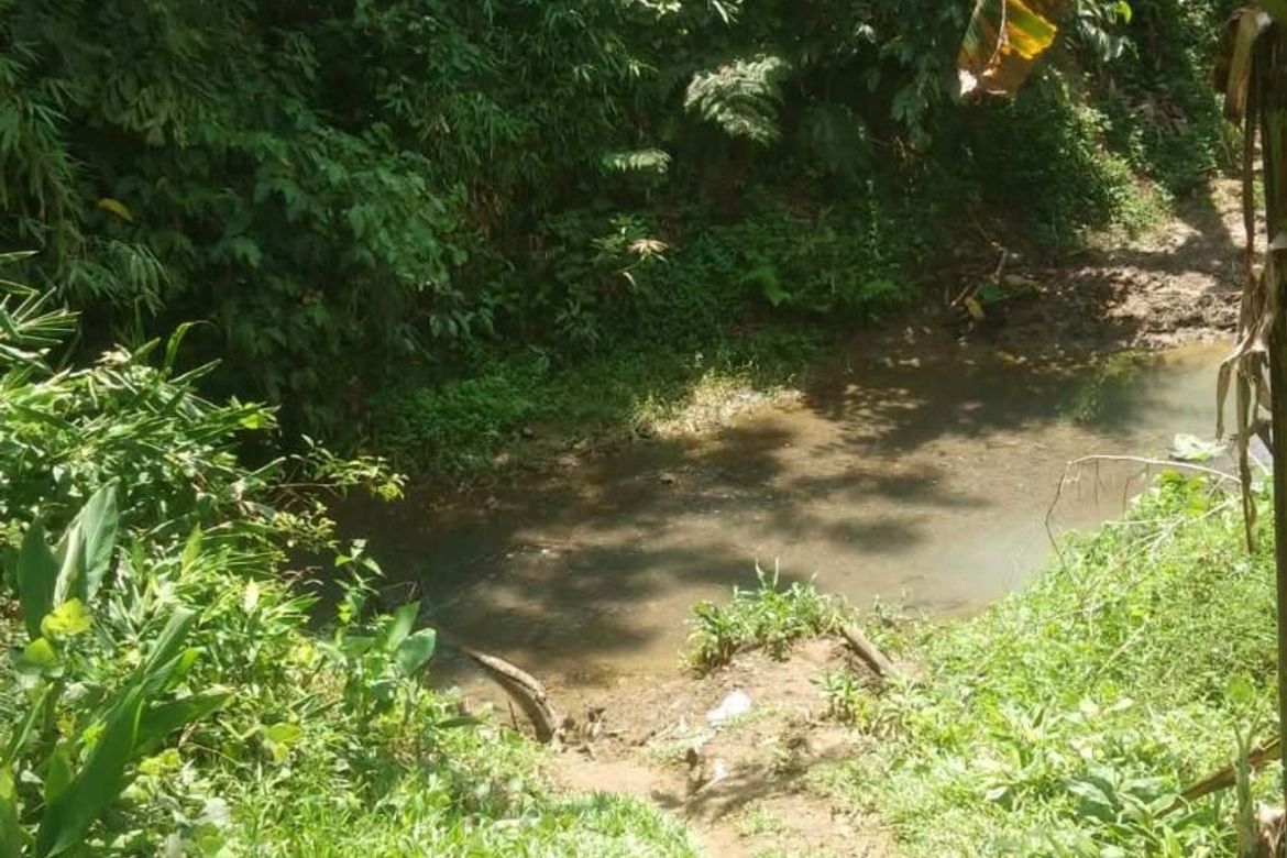 Land for Sale in Calatrava, Carmen, Bohol – photo 8