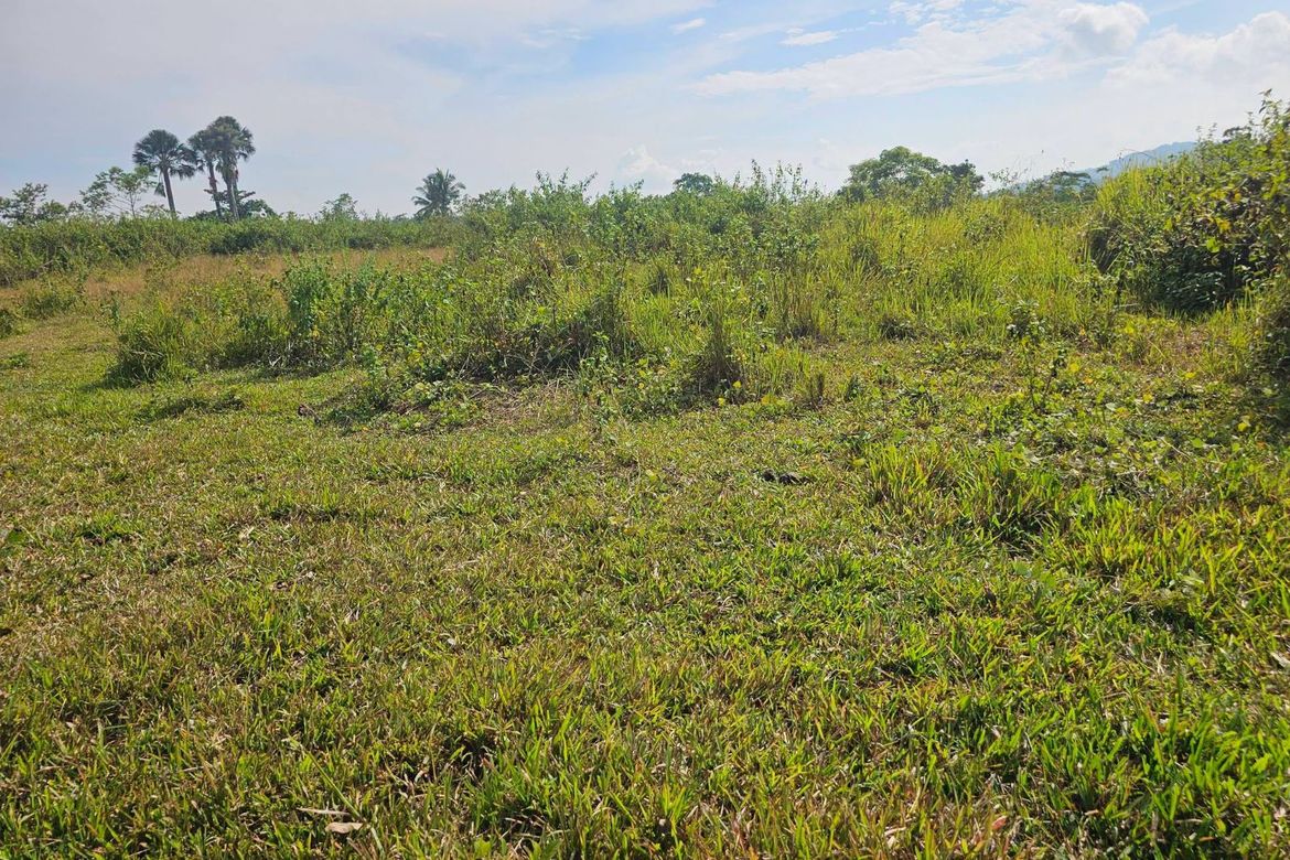 Land for Sale in Calatrava, Carmen, Bohol – photo 4