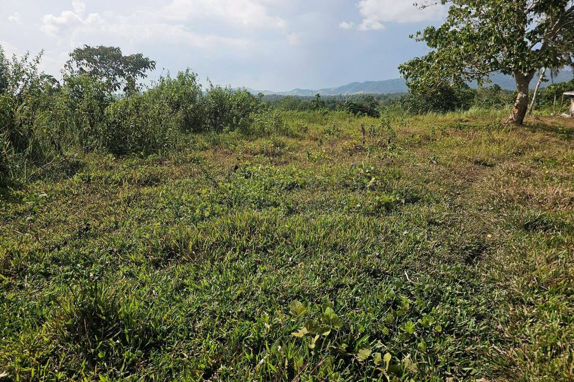 Land for Sale in Calatrava, Carmen, Bohol – photo 7