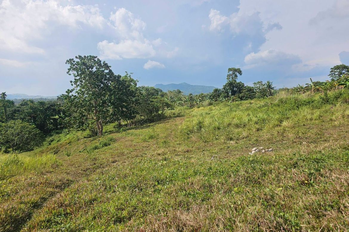 Land for Sale in Calatrava, Carmen, Bohol – photo 8