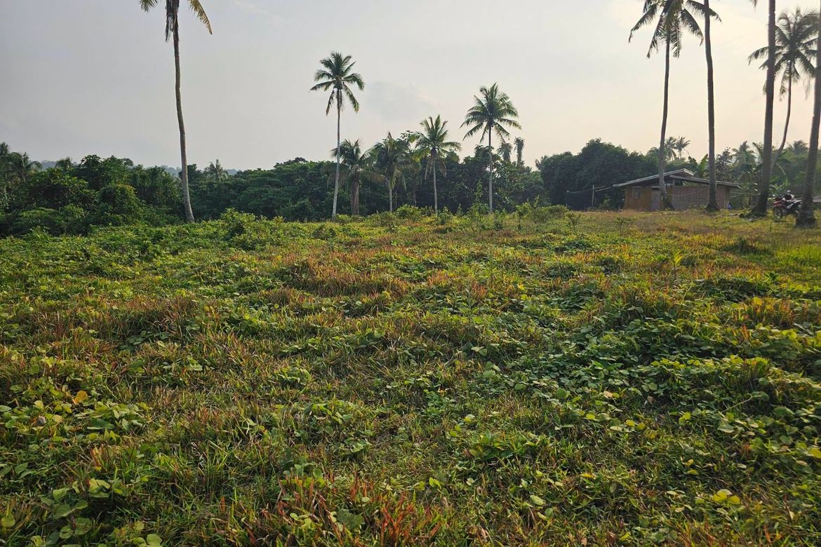 Land for Sale in Calatrava, Carmen, Bohol – photo 5