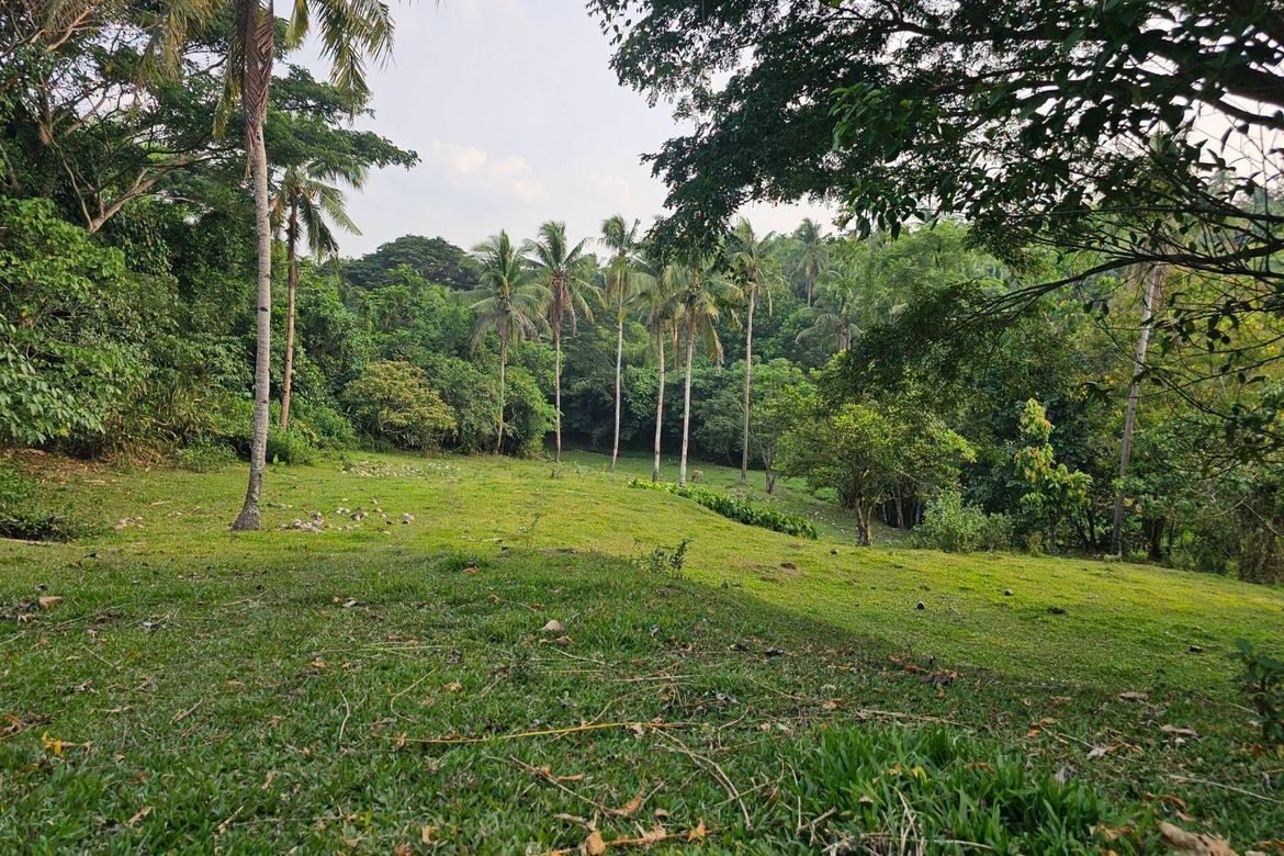 Land for Sale in Calatrava, Carmen, Bohol – photo 6