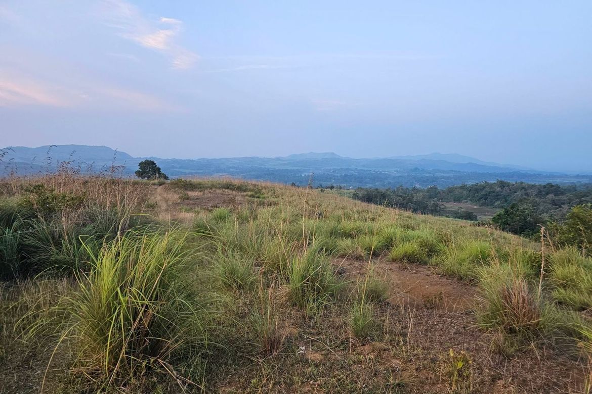 Land for Sale in Calatrava, Carmen, Bohol