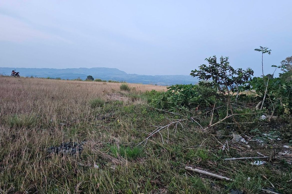 Land for Sale in Calatrava, Carmen, Bohol – photo 4