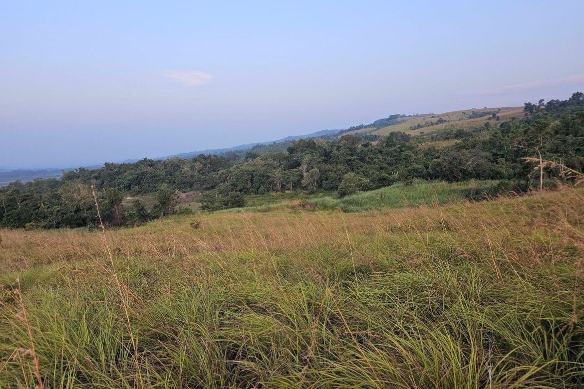 Land for Sale in Calatrava, Carmen, Bohol – photo 5