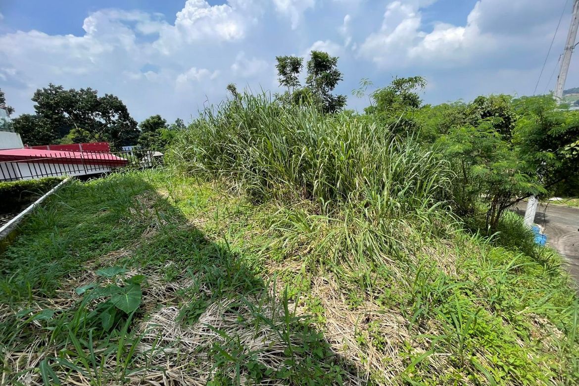 Land for Sale in Calawis, Antipolo, Rizal – photo 3