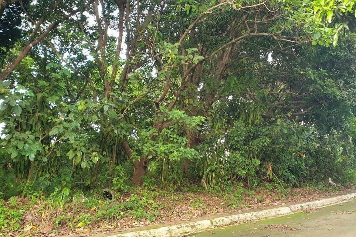 Land for Sale in Calawis, Antipolo, Rizal – photo 2