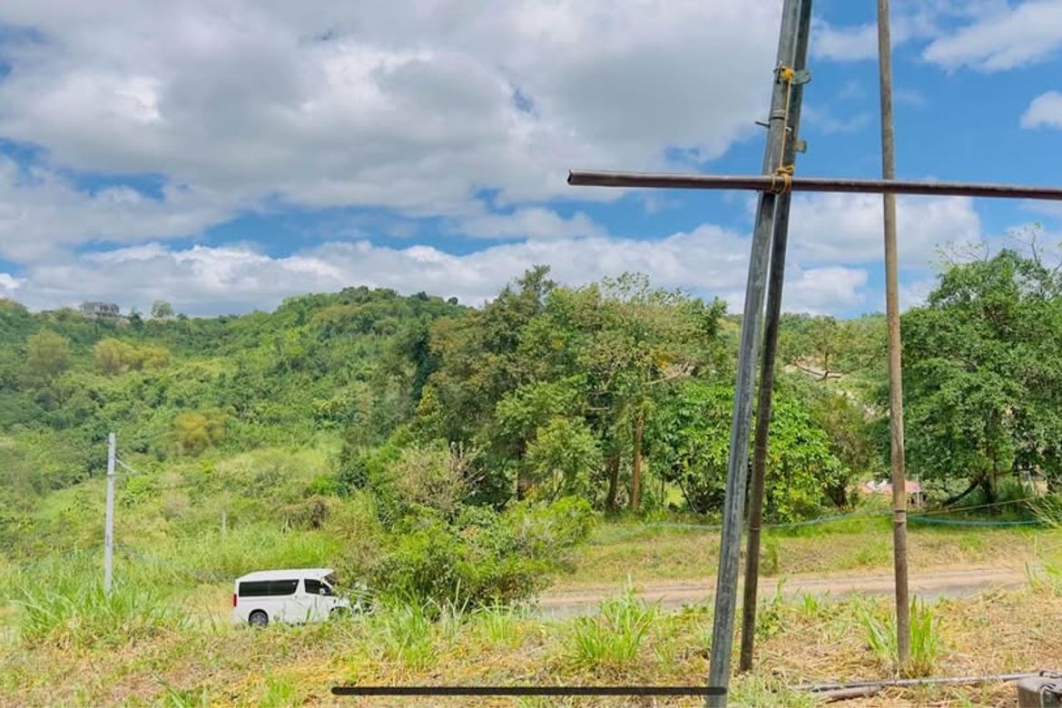Land for Sale in Calawis, Antipolo, Rizal
