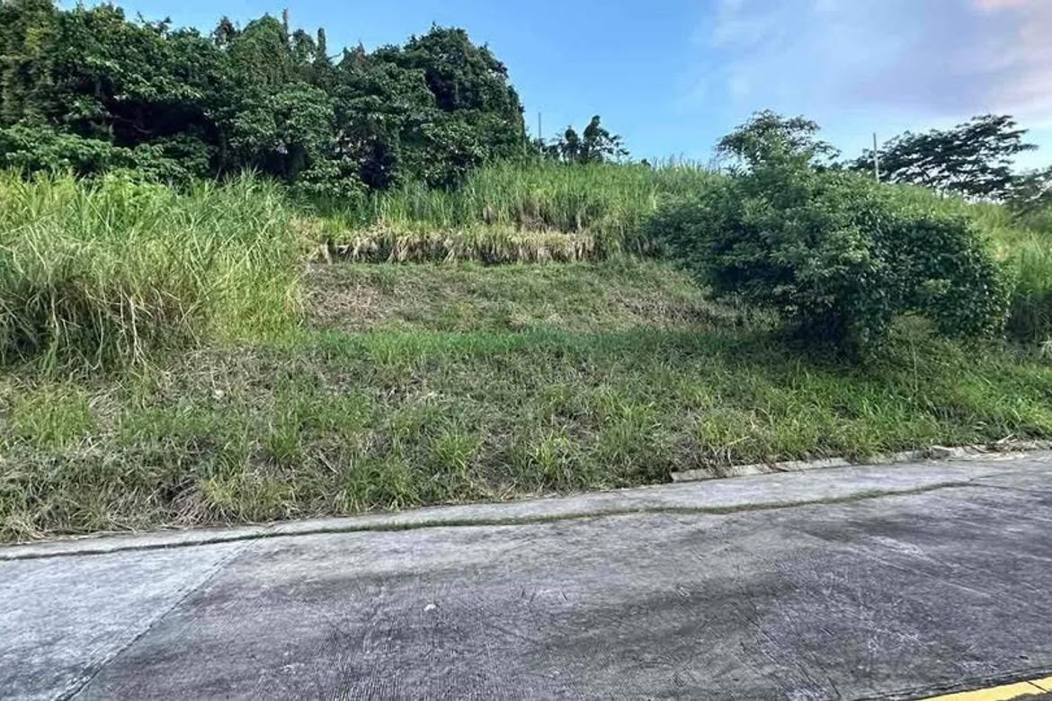 Land for Sale in Calawis, Antipolo, Rizal – photo 5