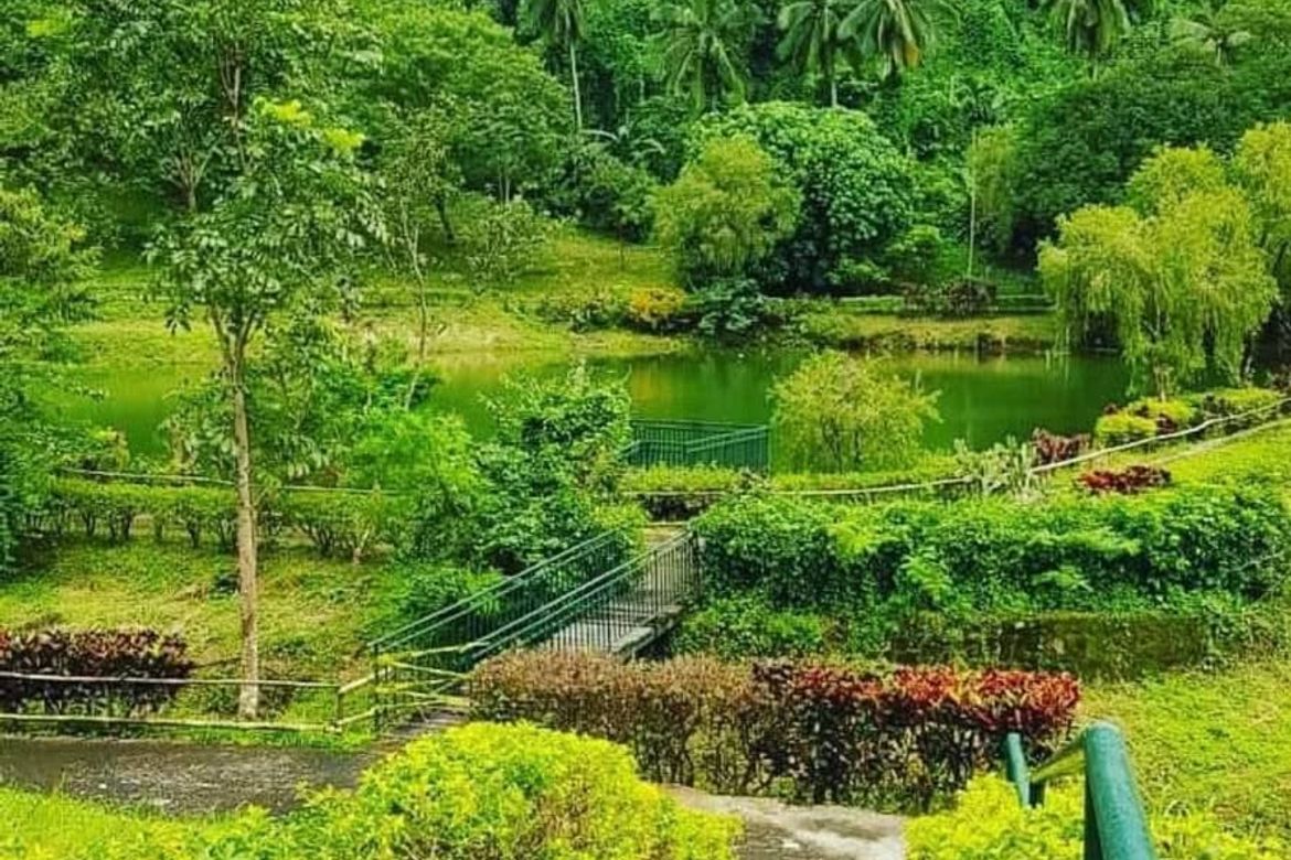 Land for Sale in Calawis, Antipolo, Rizal – photo 6