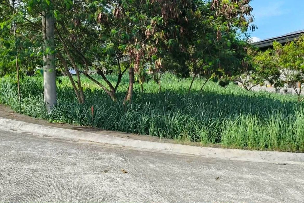Land for Sale in Calawis, Antipolo, Rizal – photo 7