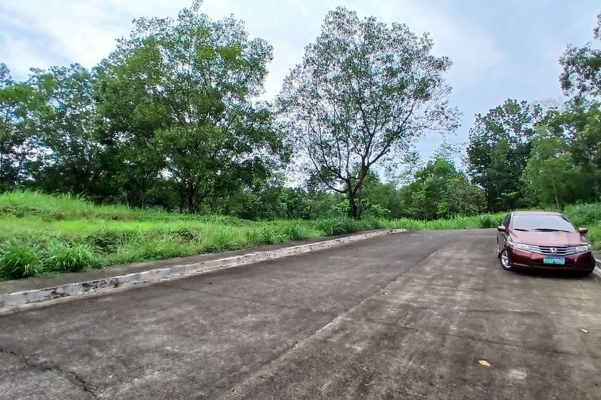 Land for Sale in Calawis, Antipolo, Rizal – photo 4