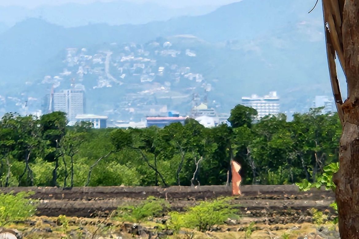 Land for Sale in Calawisan, Lapu-Lapu, Cebu – photo 5