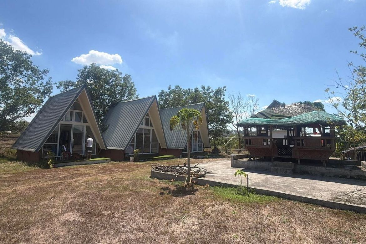 Land for Sale in Calayaan, Gerona, Tarlac – photo 2