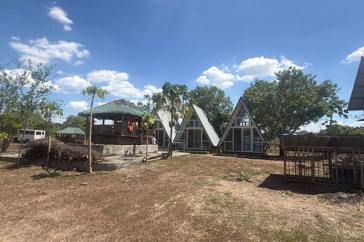 Land for Sale in Calayaan, Gerona, Tarlac – photo 4