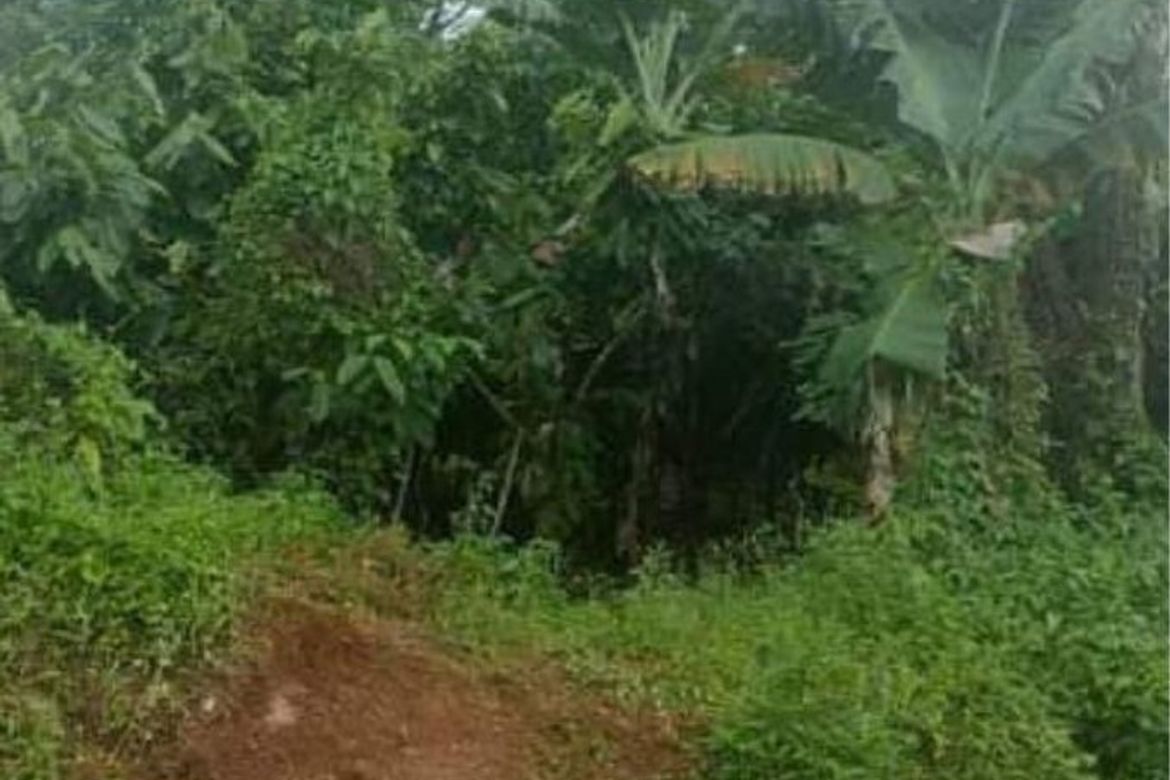 Land for Sale in Calinan, Davao City, Davao del Sur – photo 2