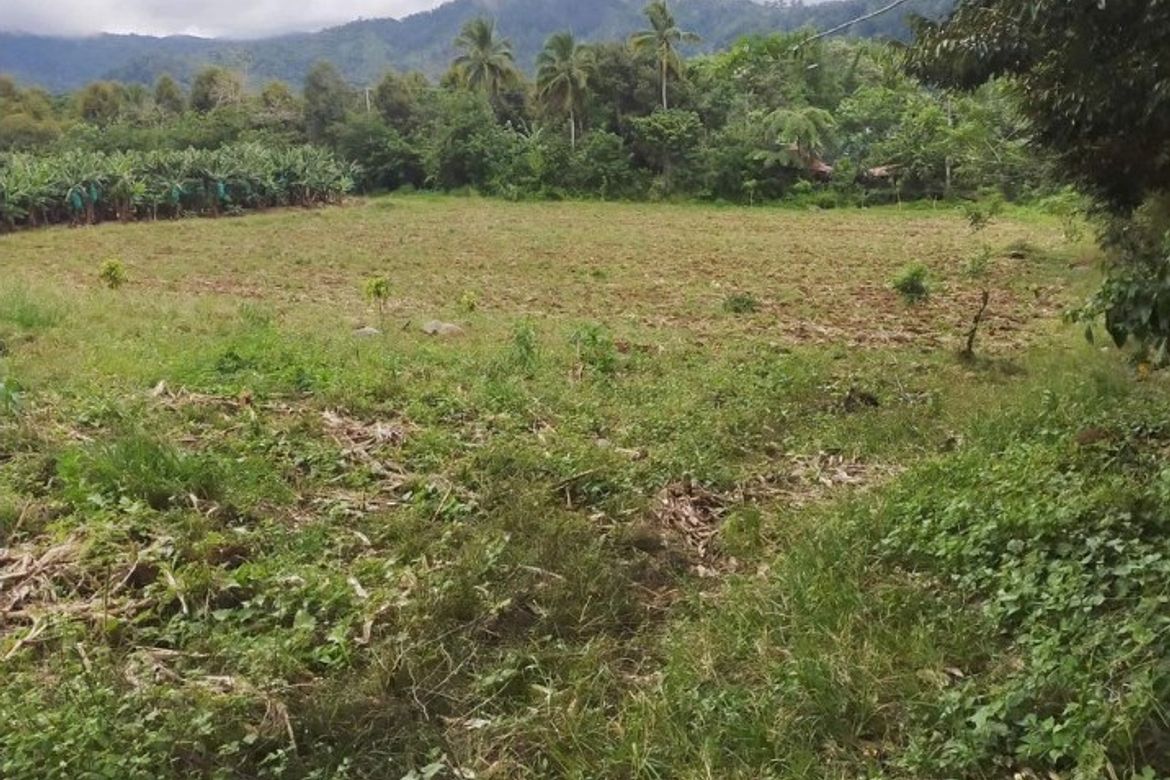 Land for Sale in Calinan, Davao City, Davao del Sur – photo 3