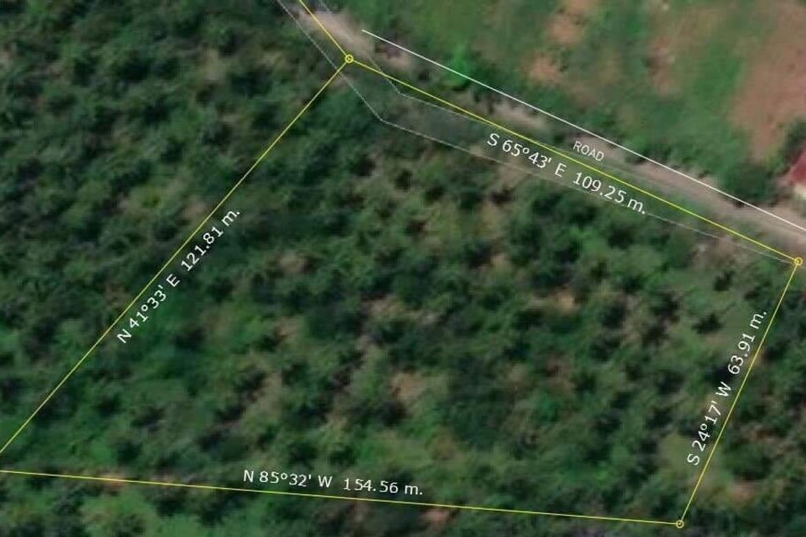 Land for Sale in Calinan, Davao City, Davao del Sur – photo 4