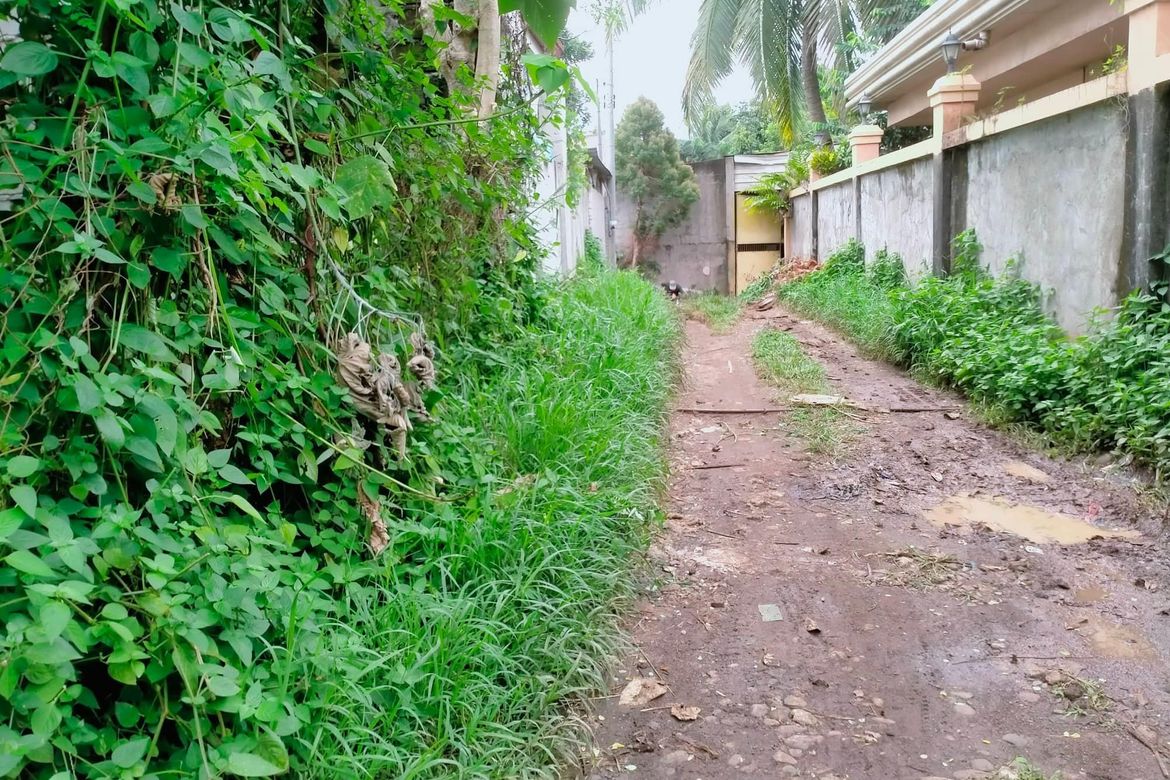 Land for Sale in Calinan, Davao City, Davao del Sur – photo 4