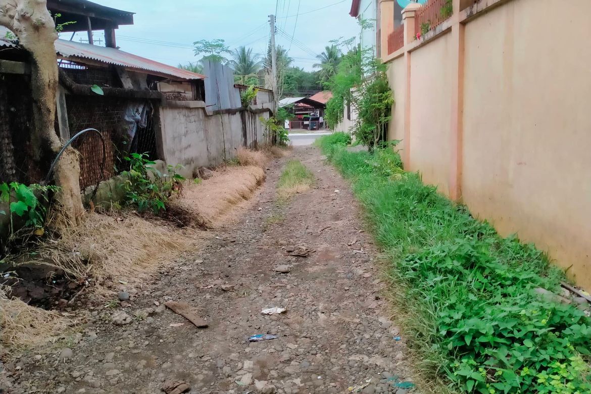 Land for Sale in Calinan, Davao City, Davao del Sur – photo 5