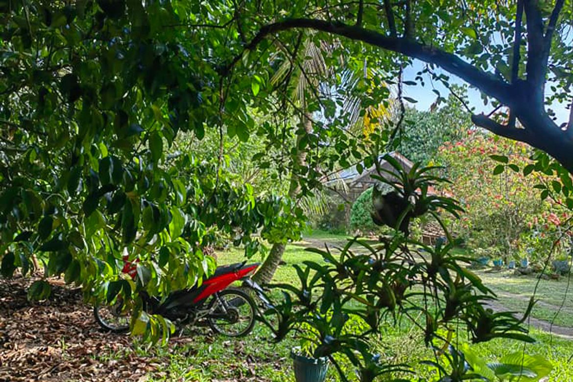 Land for Sale in Calinan, Davao City, Davao del Sur – photo 2