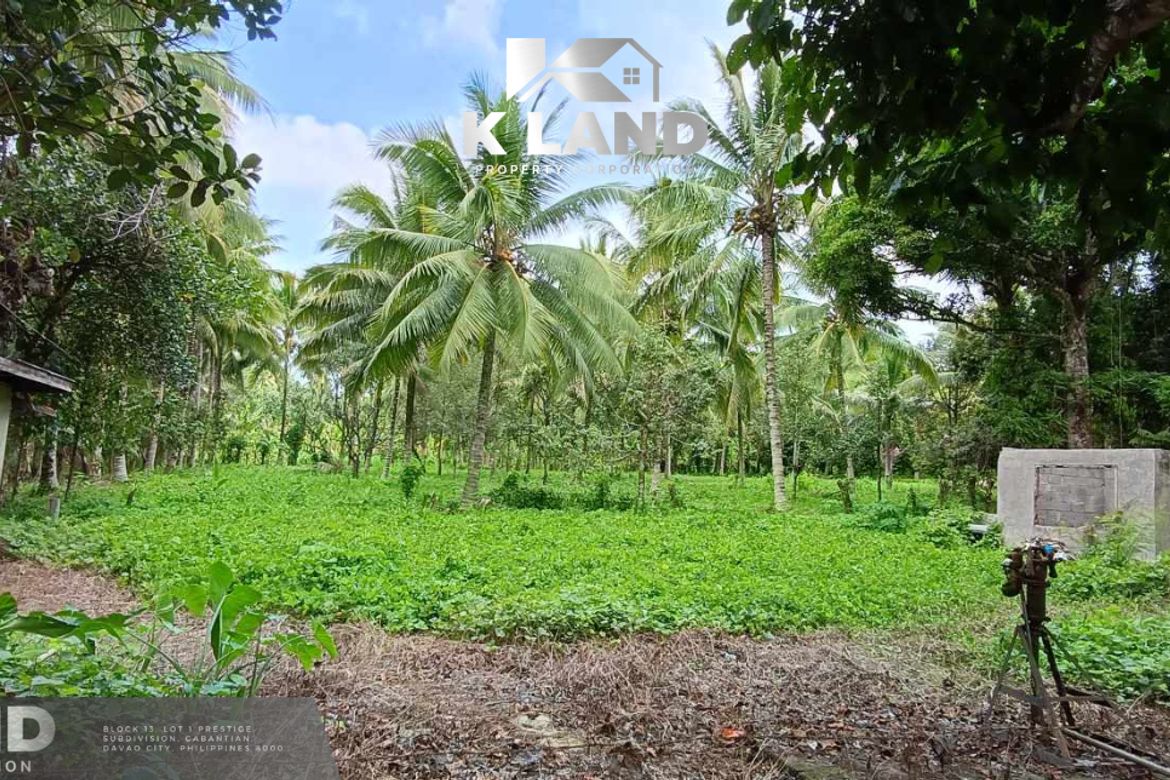 Land for Sale in Calinan, Davao City, Davao del Sur – photo 2