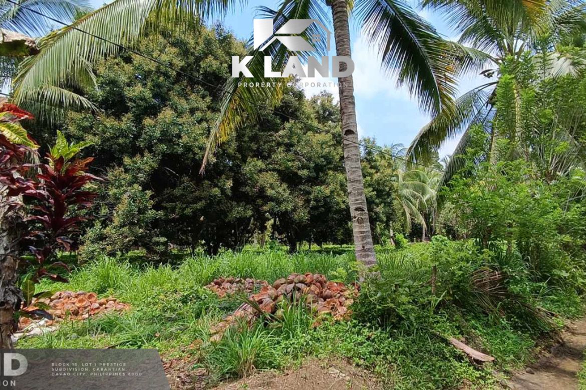 Land for Sale in Calinan, Davao City, Davao del Sur – photo 5
